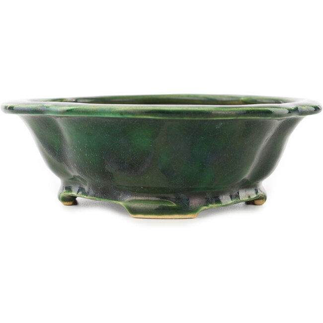 Maceta para bonsái verde Mokko de Seizan - 180 x 155 x 50 mm