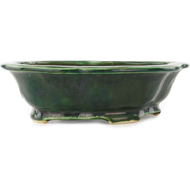 Mokko green bonsai pot by Seizan - 180 x 155 x 50 mm