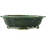 Pot à bonsaï vert Mokko de Seizan - 180 x 155 x 50 mm