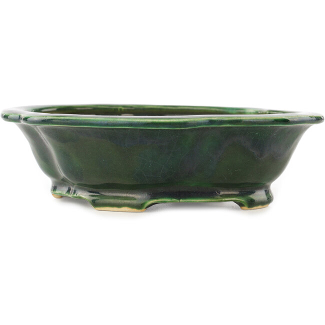 Mokko green bonsai pot by Seizan - 180 x 155 x 50 mm