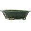 Pot à bonsaï vert Mokko de Seizan - 180 x 155 x 50 mm