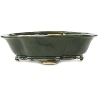 Seizan Pot à bonsaï vert mokko de 180 mm par Seizan, Japon