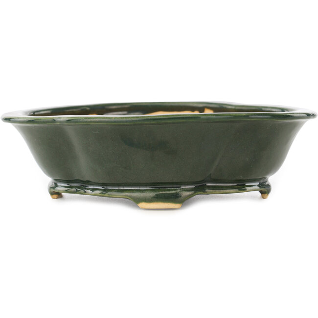 Mokko green bonsai pot by Seizan - 180 x 155 x 50 mm