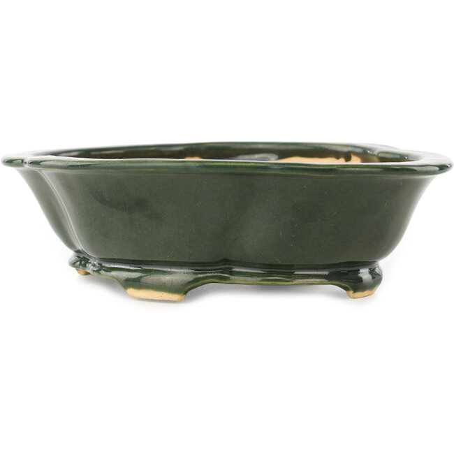 Mokko groene bonsai pot van Seizan - 180 x 155 x 50 mm