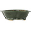 Pot à bonsaï vert Mokko de Seizan - 180 x 155 x 50 mm
