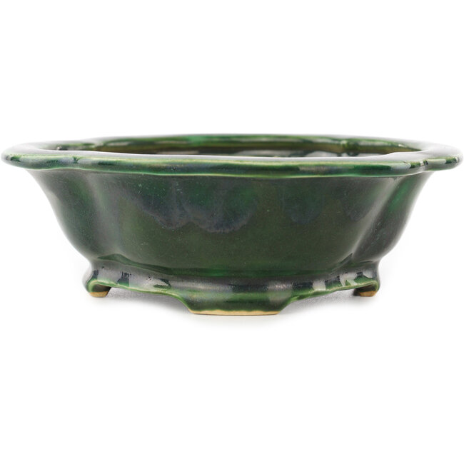 Mokko grüner Bonsaitopf von Seizan - 180 x 155 x 50 mm