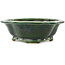Pot à bonsaï vert Mokko de Seizan - 180 x 155 x 50 mm