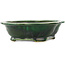 Pot à bonsaï vert Mokko de Seizan - 180 x 155 x 50 mm