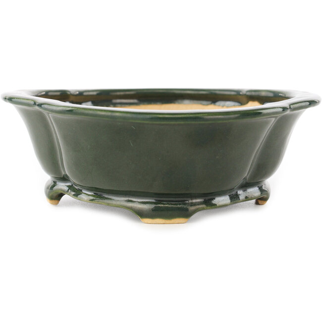 Maceta para bonsái verde Mokko de Seizan - 180 x 155 x 50 mm