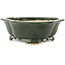 Pot à bonsaï vert Mokko de Seizan - 180 x 155 x 50 mm