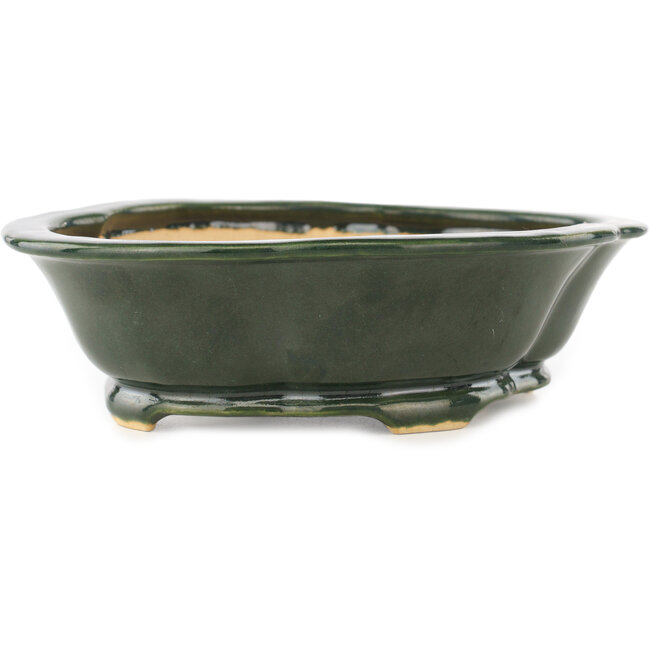 Pot à bonsaï vert Mokko de Seizan - 180 x 155 x 50 mm