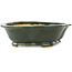 Pot à bonsaï vert Mokko de Seizan - 180 x 155 x 50 mm