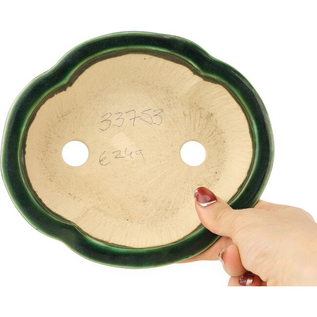 Maceta para bonsái verde Mokko de Seizan - 180 x 155 x 50 mm