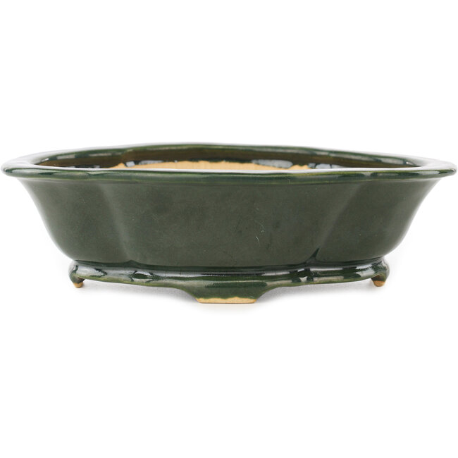 Mokko green bonsai pot by Seizan - 180 x 155 x 50 mm