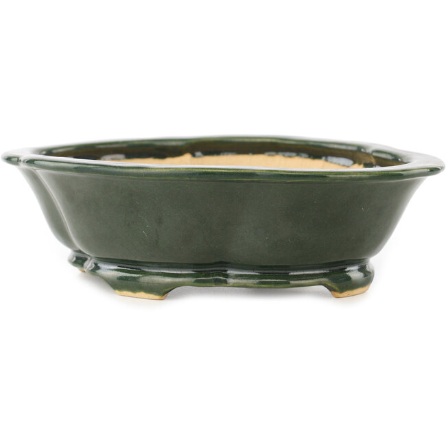 Mokko grüner Bonsaitopf von Seizan - 180 x 155 x 50 mm