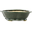 Pot à bonsaï vert Mokko de Seizan - 180 x 155 x 50 mm