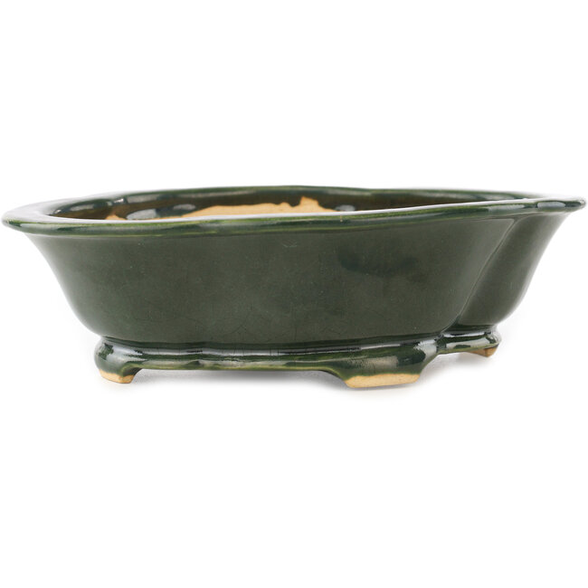 Maceta para bonsái verde Mokko de Seizan - 180 x 155 x 50 mm