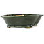 Pot à bonsaï vert Mokko de Seizan - 180 x 155 x 50 mm