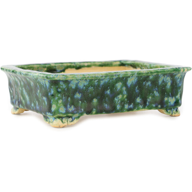 Maceta rectangular verde y azul para bonsái de Hama Jube - 162 x 130 x 50 mm