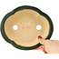 Pot à bonsaï vert Mokko de Seizan - 180 x 155 x 50 mm