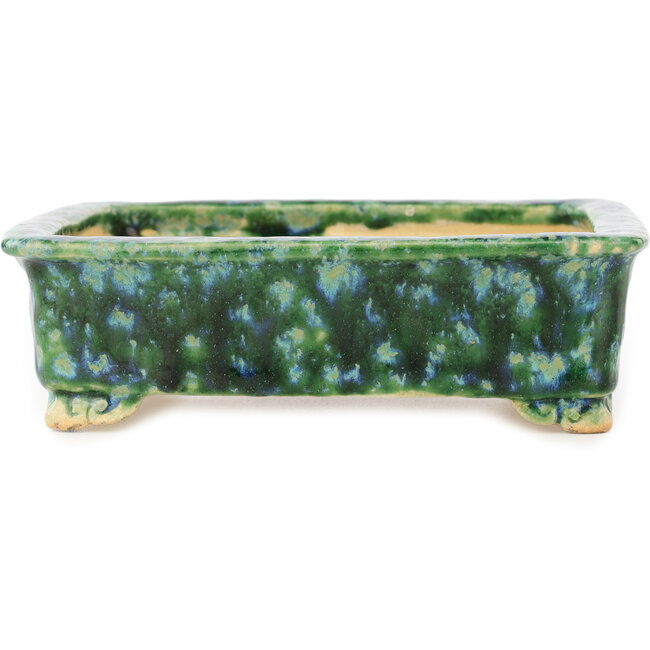 Vaso bonsai rettangolare verde e blu di Hama Jube - 162 x 130 x 50 mm