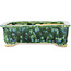 Maceta rectangular verde y azul para bonsái de Hama Jube - 162 x 130 x 50 mm