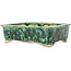 Maceta rectangular verde y azul para bonsái de Hama Jube - 162 x 130 x 50 mm