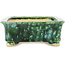Maceta rectangular verde y azul para bonsái de Hama Jube - 162 x 130 x 50 mm