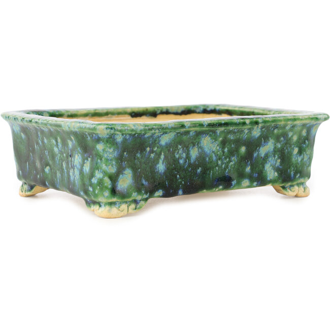 Maceta rectangular verde y azul para bonsái de Hama Jube - 162 x 130 x 50 mm