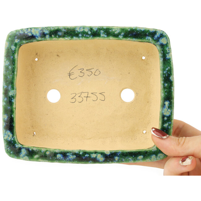 Vaso bonsai rettangolare verde e blu di Hama Jube - 162 x 130 x 50 mm