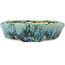 Pot à bonsaï rond vert et bleu de Hama Jube - 157 x 157 x 47 mm