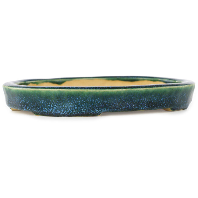 Maceta ovalada verde y azul para bonsái de Hama Jube - 170 x 130 x 25 mm