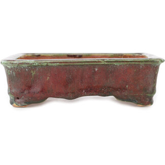 Maceta rectangular para bonsái de color rojo y verde de 162 mm de Hama Jube, Japón