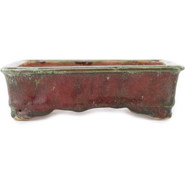 Maceta rectangular para bonsái de color rojo y verde de Hama Jube - 162 x 140 x 47 mm