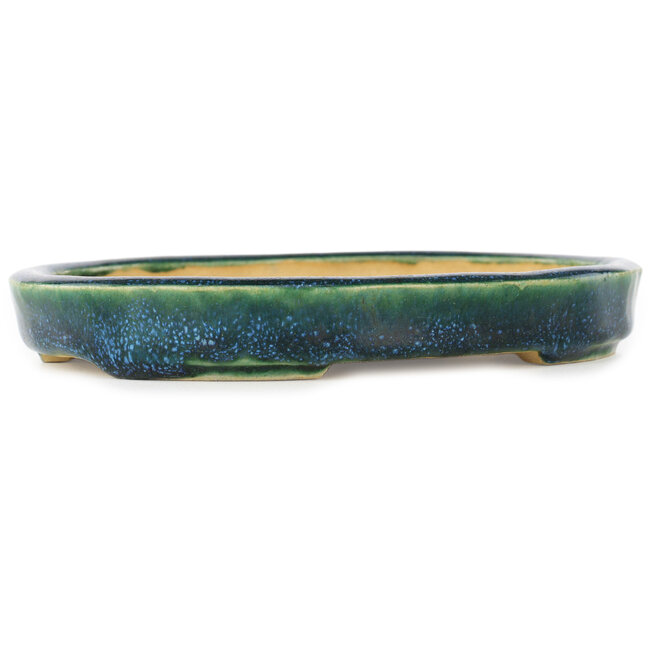 Maceta ovalada verde y azul para bonsái de Hama Jube - 170 x 130 x 25 mm