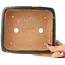 Rectangular red and green bonsai pot by Hama Jube - 162 x 140 x 47 mm