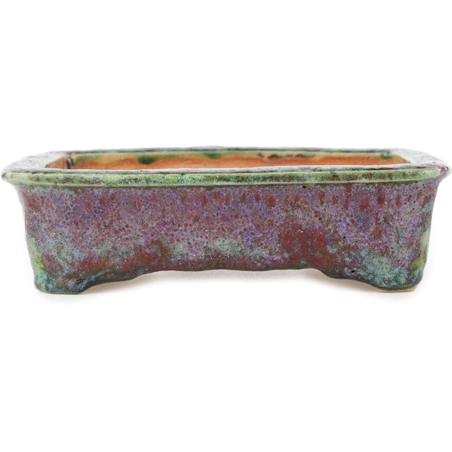 Maceta rectangular para bonsái multicolor de Hama Jube - 177 x 152 x 50 mm