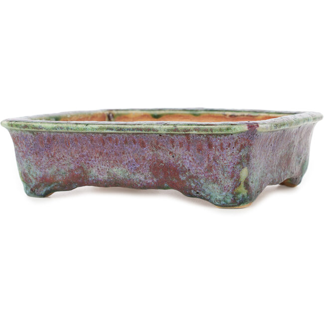 Maceta rectangular para bonsái multicolor de Hama Jube - 177 x 152 x 50 mm