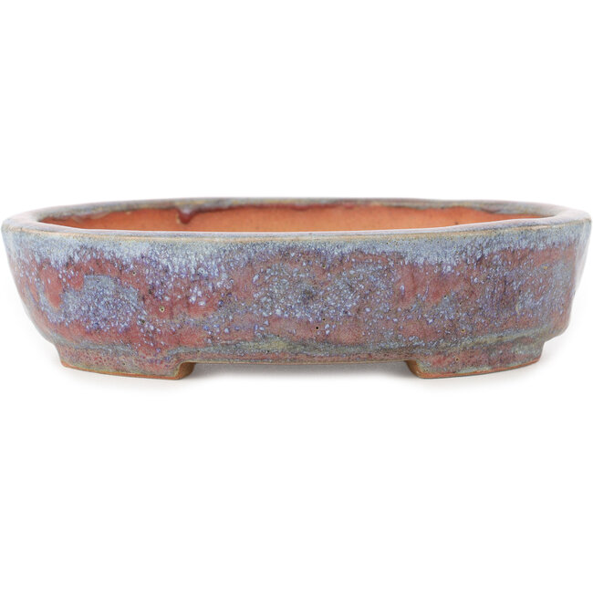 Vaso bonsai rotondo rosso e blu di Hama Jube - 173 x 152 x 43 mm