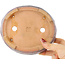 Ronde rode en blauwe bonsaipot van Hama Jube - 173 x 152 x 43 mm