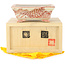 Rectangular white and red  bonsai pot by Kutani - 95 x 78 x 35 mm