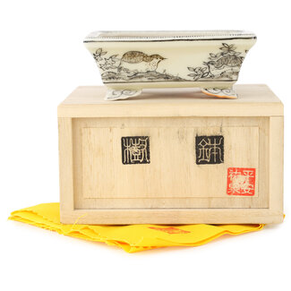 Kutani Aritomo Maceta rectangular de bonsái de color blanco y negro de 95 mm de Kutani, Japón
