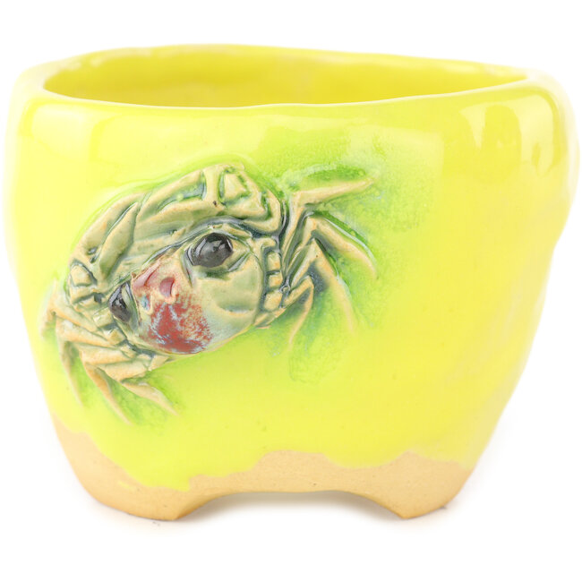 Pot à bonsaï rond jaune et vert de Masashi Furumoto - 95 x 95 x 67 mm