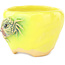 Pot à bonsaï rond jaune et vert de Masashi Furumoto - 95 x 95 x 67 mm