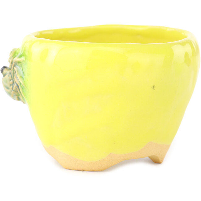 Pot à bonsaï rond jaune et vert de Masashi Furumoto - 95 x 95 x 67 mm