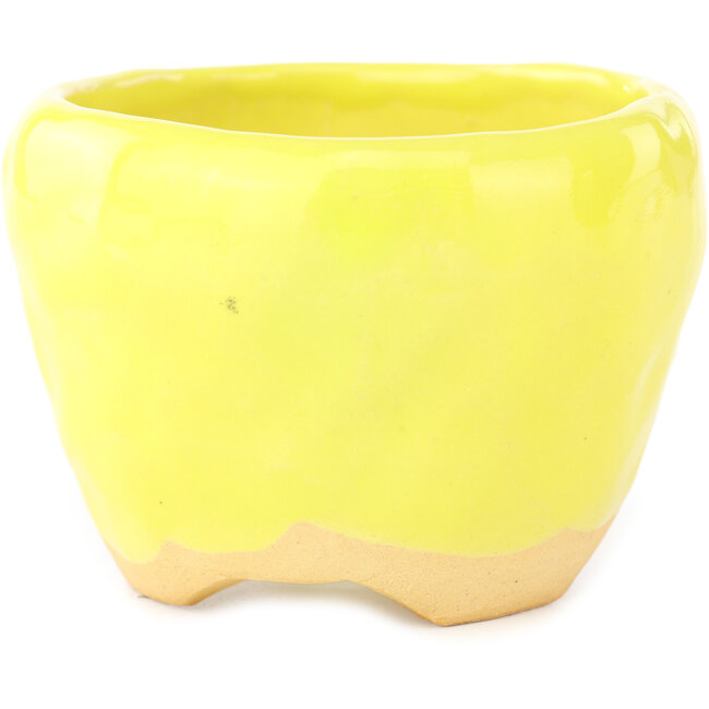 Round yellow and green bonsai pot by Masashi Furumoto - 95 x 95 x 67 mm