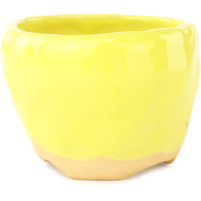 Vaso bonsai rotondo giallo e verde di Masashi Furumoto - 95 x 95 x 67 mm