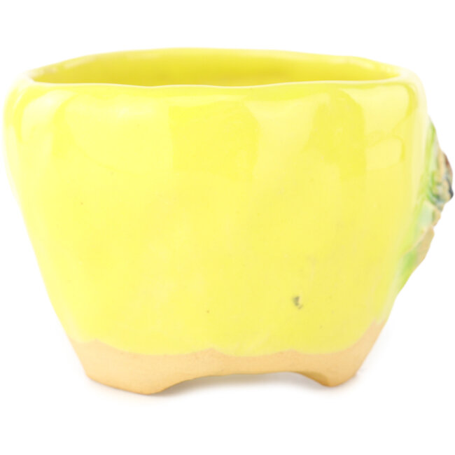 Vaso bonsai rotondo giallo e verde di Masashi Furumoto - 95 x 95 x 67 mm