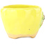 Pot à bonsaï rond jaune et vert de Masashi Furumoto - 95 x 95 x 67 mm