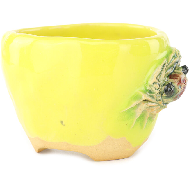 Vaso bonsai rotondo giallo e verde di Masashi Furumoto - 95 x 95 x 67 mm